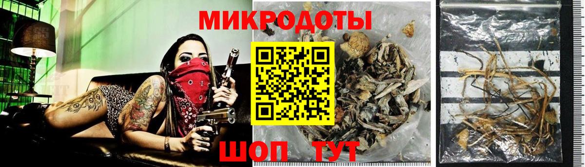 Псилоцибиновые грибы Psilocybe Севастополь