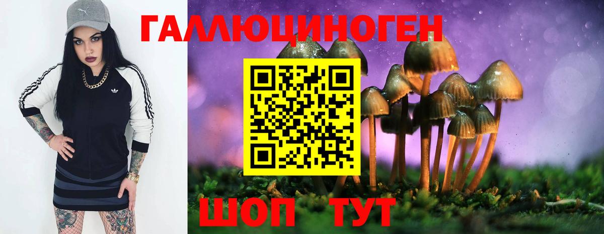 Галлюциногенные грибы ЛСД  Галлюциногенные грибы прущие грибы  Севастополь  Вход с VPN 